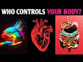 WHO IS THE CONTROL OF YOUR BODY? THE BRAIN, THE HEART OR THE STOMACH?Quiz Personality Test MagicQuiz