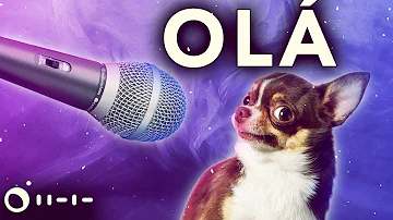 Como se comunicar com os cães?