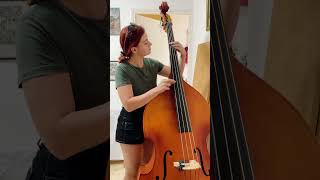 Just a crappy attempt purely for your entertainment 🤣 #doublebass #typeonegative