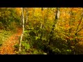 The Autumn of 2012 in Great Smoky Mountains National Park