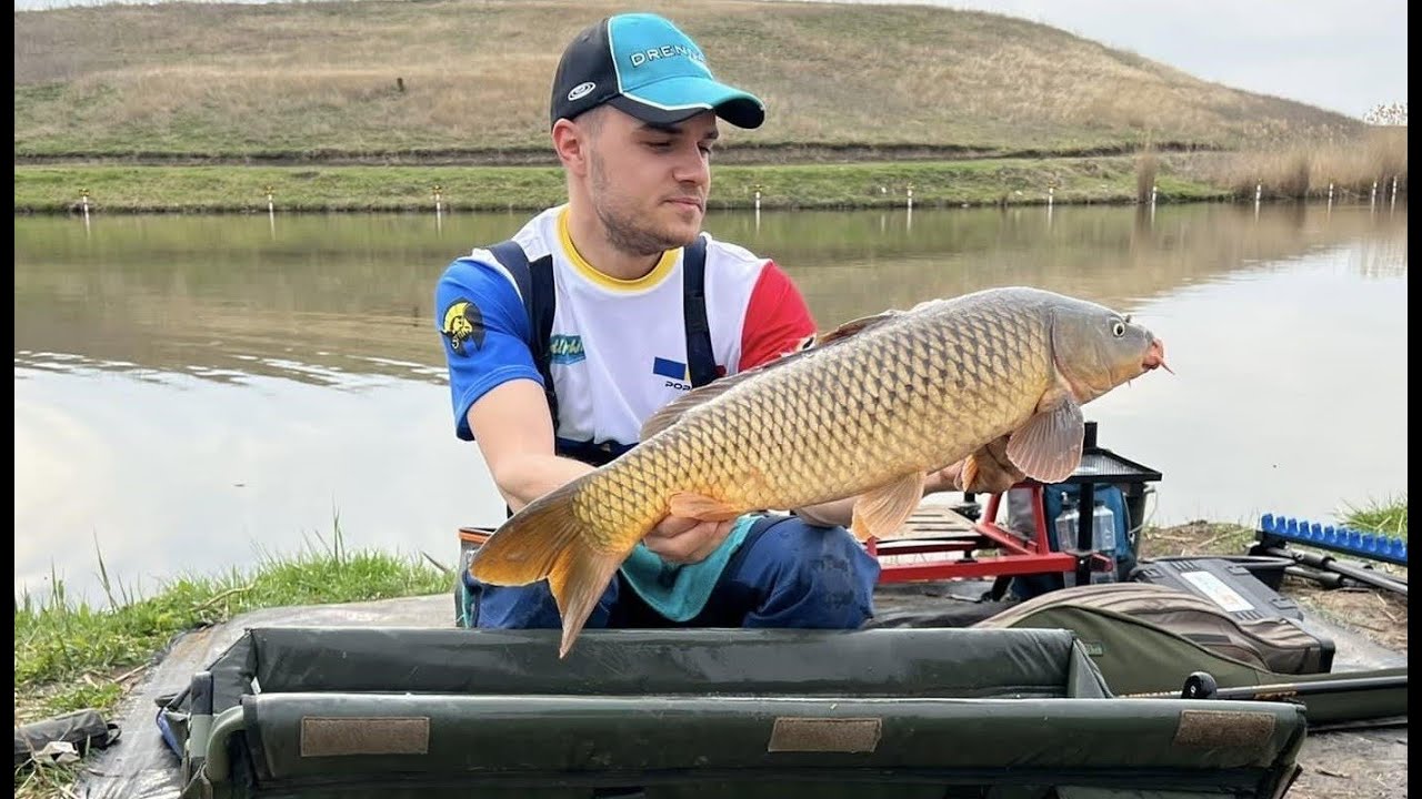 Pescuitul crapului la method feeder