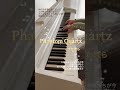 BGM風【Phantom Quartz】#shorts #すたぽら