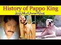 History of Pappo King Bully Badmash Kutta Interview of Ch Shokat Sadwal By Nafa tv hd