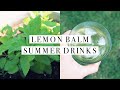 Lemon Balm Summer Drinks | The Medicinal Kitchen
