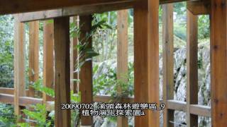 20090702 溪頭森林遊樂區 9 植物演化探索園a