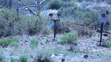 Reactive Spinner Targets  @ 100m - Mr Target Reactive AR500 Steel Targets