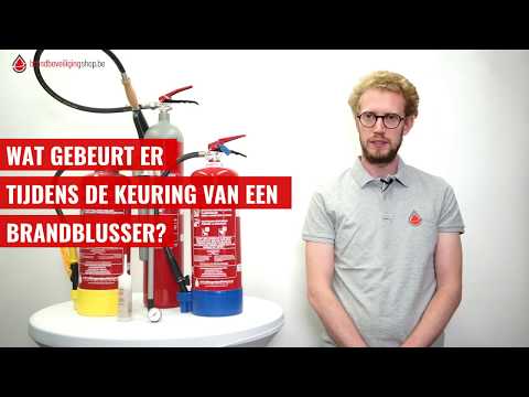 Video: Wat gebeurt er tijdens de vertaalbiologiequiz?