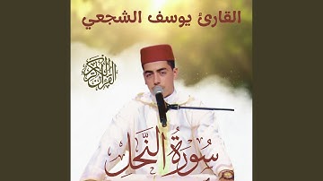 أواخر سورة النحل Surah An-Nahl | القارئ يوسف الشجعي