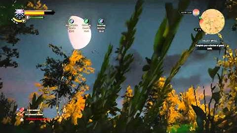 first person camera glitch - The Witcher 3: Wild Hunt