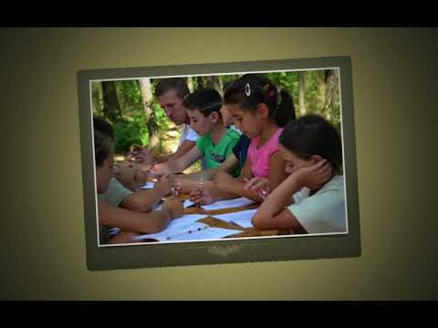 Summer Camps Romania 2015 romania currency