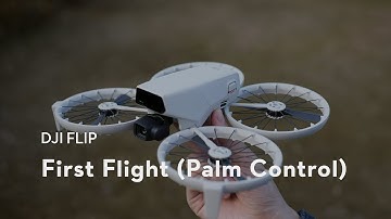 DJI Flip｜First Flight (Palm Control)