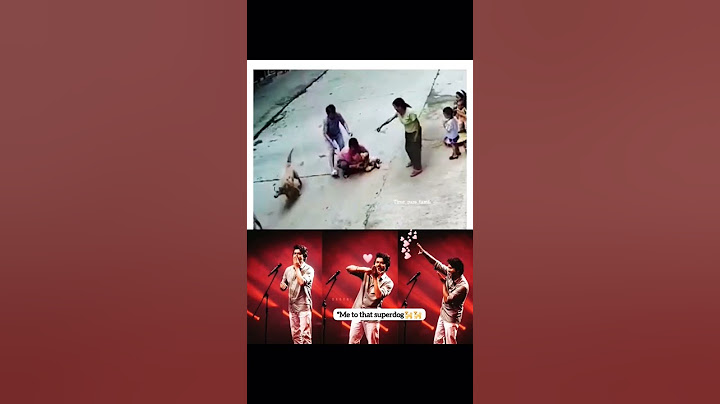 കുട്ടിയെ കടിക്കാൻ വന്ന നായ യെ അവരുടെ വളർത്തുനായ ചെയ്തത്... #dog #pets #animalshorts #animals