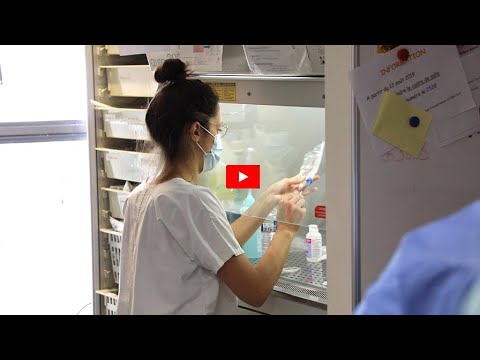 Cancers du sang | Les CAR-T cells : un traitement innovant pour la prise en charge