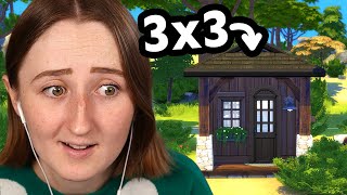 i built the tiniest cabin possible in the sims