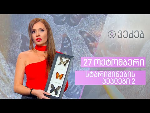 ვეძებ | სტარიგინების პეპლები 2 | გადაცემა 3