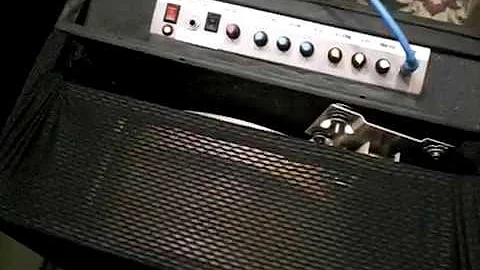 Leslie Portable Amplified Real Rotary Speaker w/ built in Instrument Amplifier !