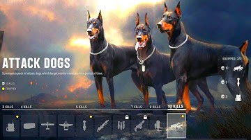 ALL BETA Unlocks in Vanguard! (Dogs Streak, Weapons, Gunsmith, & MORE!)