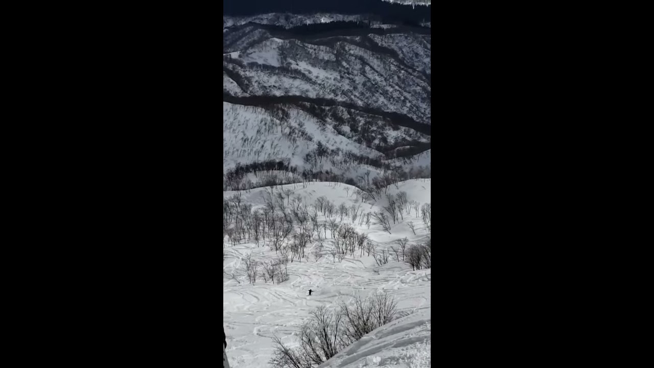 BURTON FAMILY TREE MOON BUGGY SNOWBOARD | Salty Peaks