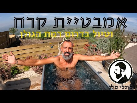 וִידֵאוֹ: מה בדרום הרמה?