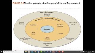 Evaluating the Business' Internal & External Environments