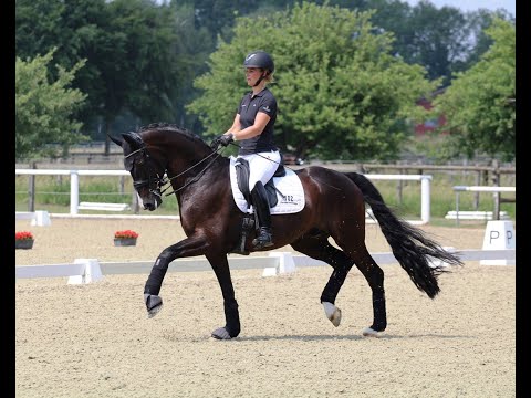 DANCIERO & Anna Kasprzak/DEN - 1. WM-Sichtung 2023 @HorsesInMotion