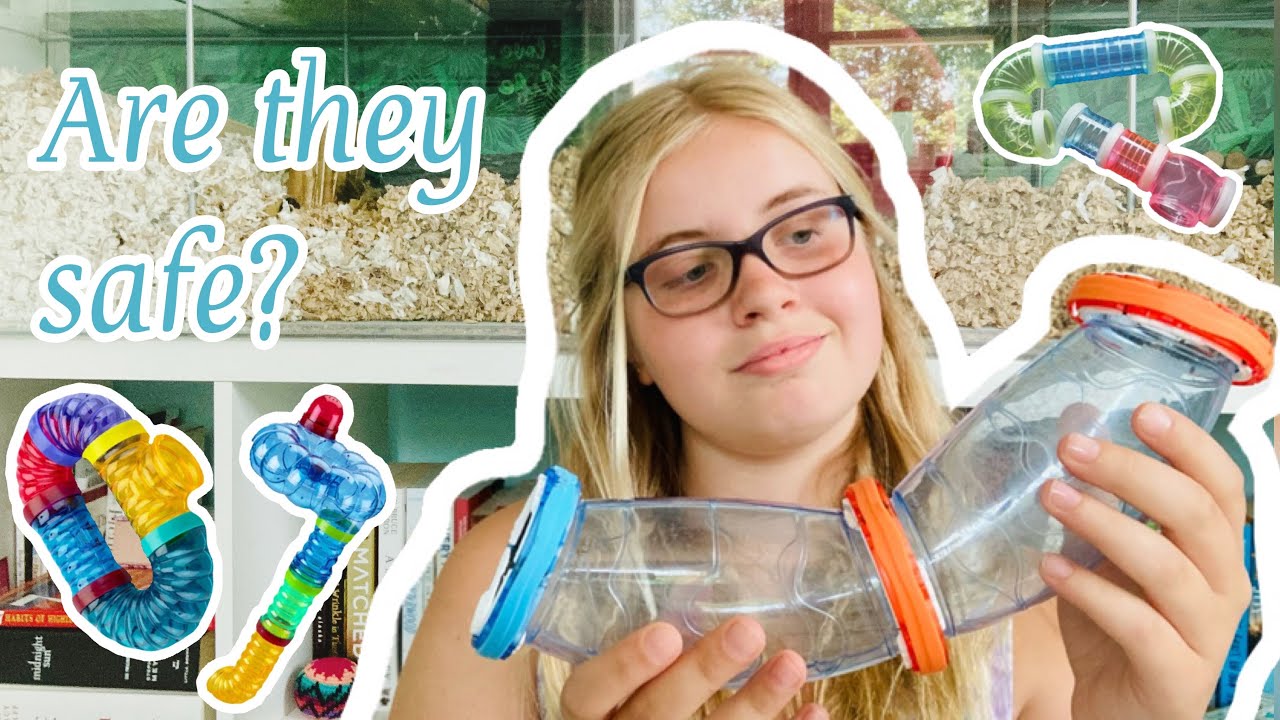 Are Tubes Actually Safe For Hamsters? YouTube