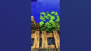 How to Build Bridge In Minecraft