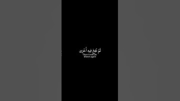 تلاوة إبداعية للقارئ عبدالرحمن ناجي محاكاي اللحيدان لسورة الزمر بترتيل مبكي و شجي #عبدالرحمن_ناجي