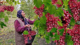 картинка: Виноградное чудо из бабушкиного сада 🍇🥧. Пирог и варенье 😋