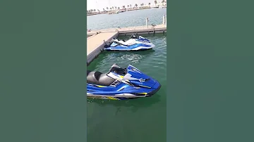 جولة في ميناء البحر 