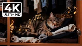 One Click Away From Deep Sleep 😴 432Hz Cat Purring + Piano screenshot 5
