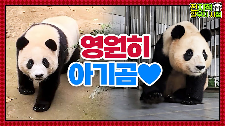 (SUB) Two Years Ago And Still Now, Panda Fubao Is As Cute As Ever🐼│Panda World