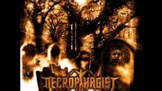 Watch Necrophagist Seven video