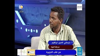 من قلب الجزيرة - أ / خرساني الامين ابراهيم - مساء جديد