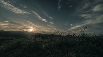 تلاوه من سورة الحشر محمد المنشاوي Muhammad A l-Minshawi Surah Al-Hashr