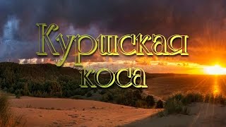 Куршская коса - Райский уголок нашей планеты! screenshot 2