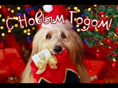 С НОВЫМ  2018 ГОДОМ,ДРУЗЬЯ!!!ЖЕЛАЮ ВСЕМ!!!