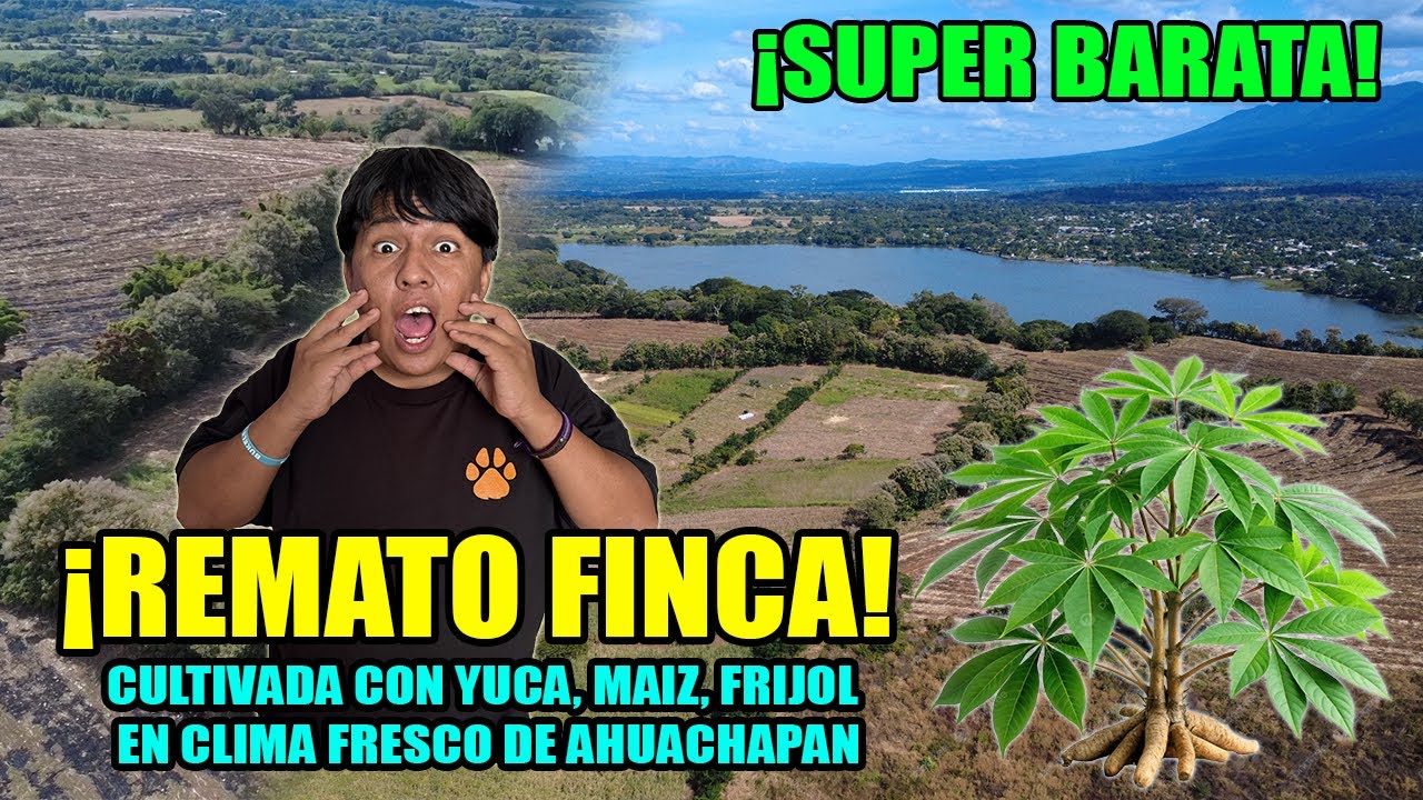 Vendo Finca con 4 Manzanas de terreno cultivadas con Yuca, Frijol y Maiz a 3 minutos de la Laguna
