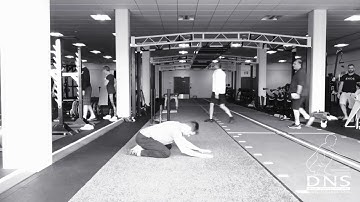 DNS Flow/Movement Prep