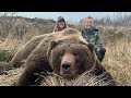 The cannibal brown bear  wolf hunting  stuck n the rut 189