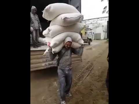 Толстый грузчик