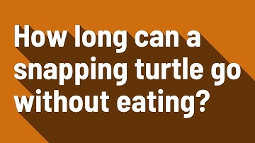 How long can a snapping turtle go without eating?