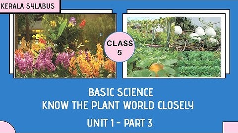 Know the Plant World Closely | Std 5 | Unit 1 - Part 3