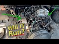 Barely Runs Saved From Scrap! Parts Cannon Ford 5.8