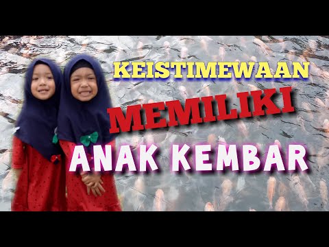 Video: Memiliki Anak Kembar? Inilah Yang Harus Anda Ketahui