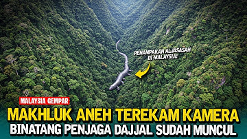 MALAYSIA GEGER ❗ DRONE AGEN CIA MEREKAM PENAMPAKAN BINATANG ANEH DI PULAU MAHSURI MALAYSIA