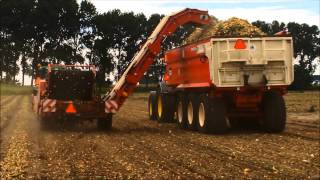 Plantuien Oprapen En Afleveren Koninklijke Maatschap De Wilhelminapolder Kmwp