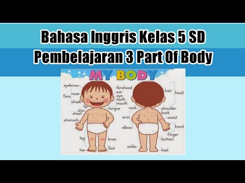 Video Pembelajaran Bahasa Inggris Kelas 5 Sd Pembelajaran 3 Part Of Body Anggota Tubuh Youtube