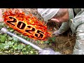 Лучше бы я это не находил! Страшные артефакты 2025 года. 1 часть