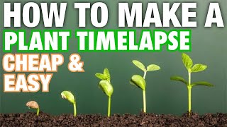 How to Make a Plant Time-Lapse Cheap \& Easy